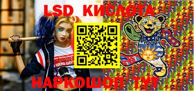 кокс Кингисепп