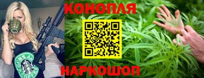 кокс Кингисепп
