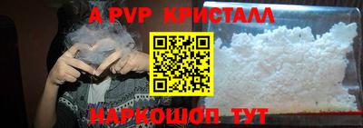 кокс Кингисепп