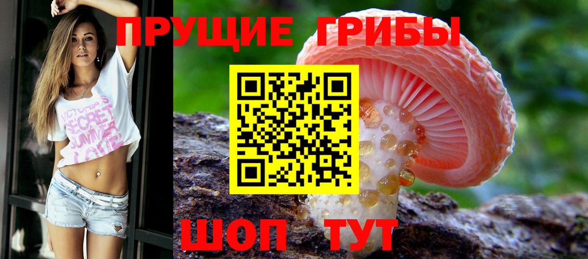 Псилоцибиновые грибы MAGIC MUSHROOMS  Вход с VPN  Кстово  где найти наркотики  Псилоцибиновые грибы Cubensis 